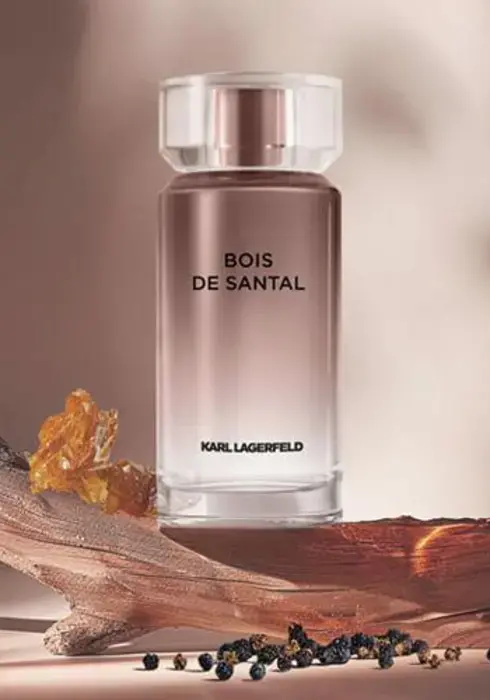 BDS